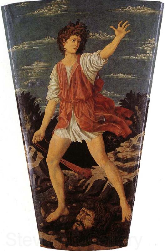 Andrea del Castagno The Youthful David Spain oil painting art